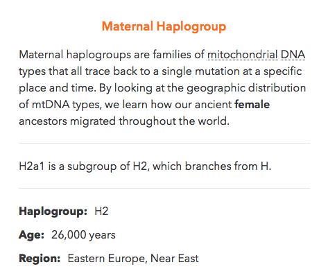 mtDNA